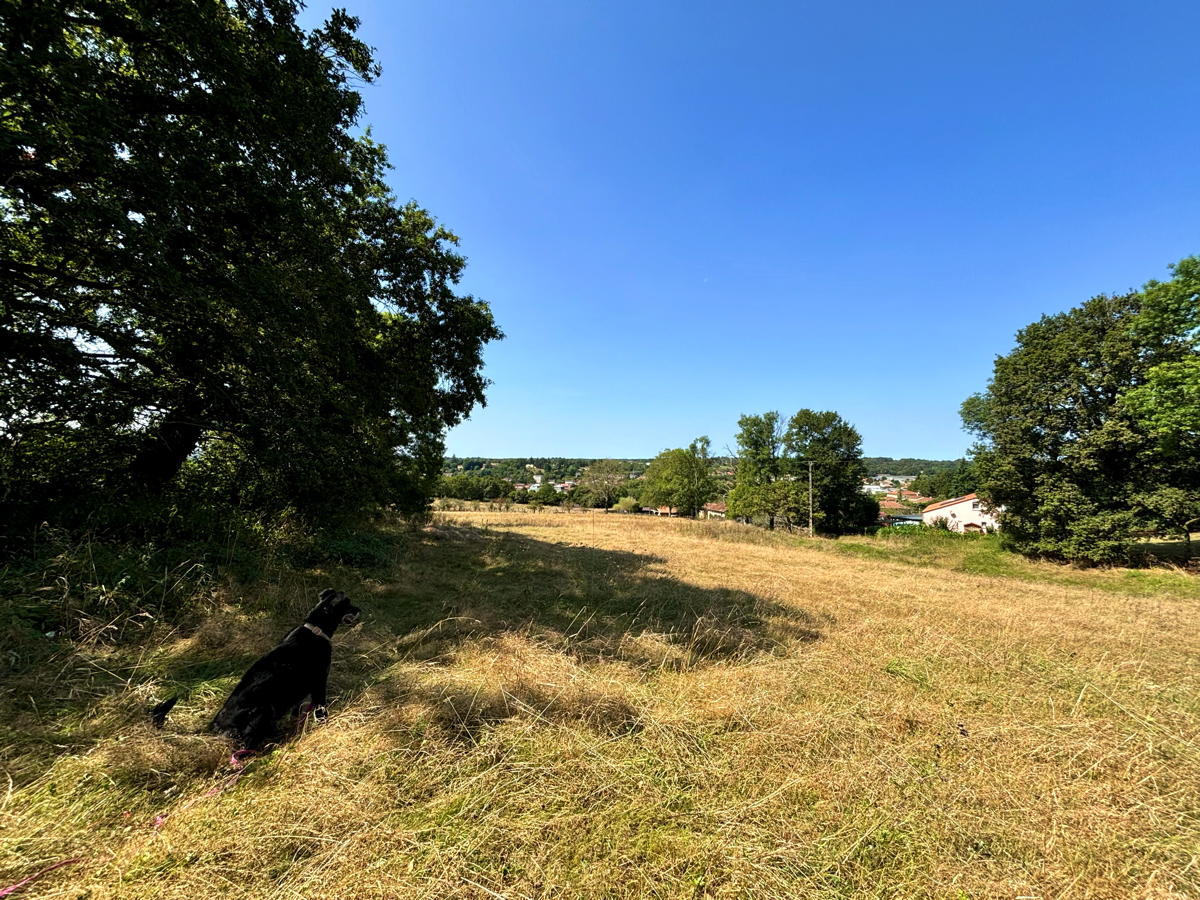 Top Field