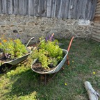 Unknown-77.jpg